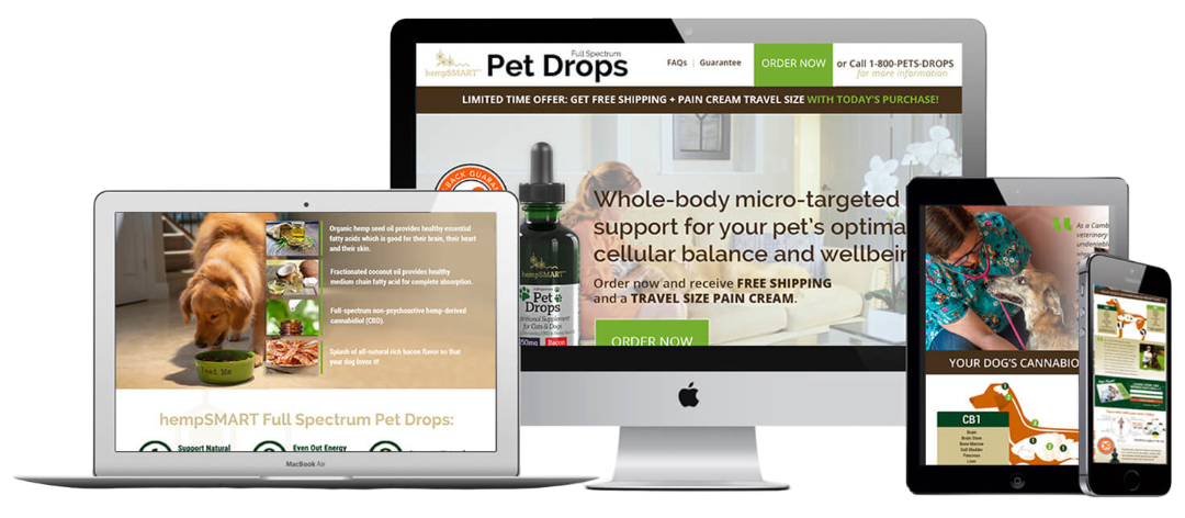Brandom_devise_hempsmart-what-we-did